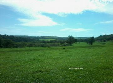 Foto 01 · Sítio venda. Empório Negócios vende sítio pecuária na região de Cajuru - SP.