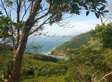 Foto · Area, Ferrugem, Garopaba, SC