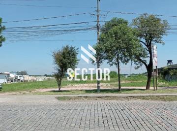 Terreno · 5000m² · Terreno para locação em Colônia Murici  -  São José dos Pinhais