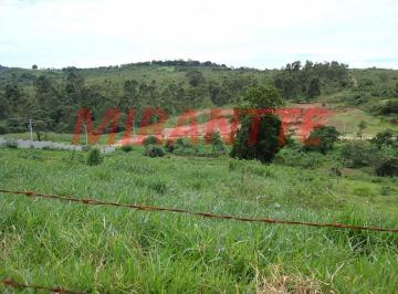 5cfd9f1822d2efede178bc33e5e548a1.jpg · Terreno