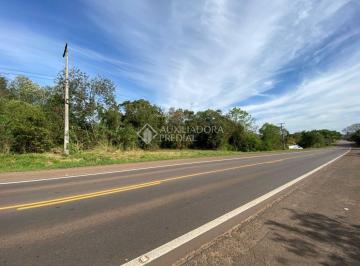 351917_iN8Uz_3519176152352ad53b3.jpg · Terreno à venda - em Cruzeiro do Sul
