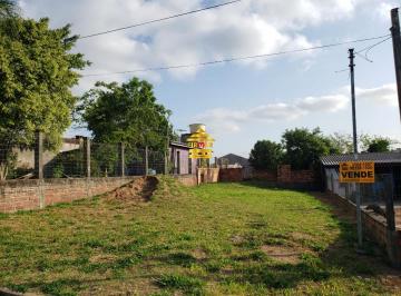 16462097_g.jpg · 
                                Excelente Terreno - Bairro Arroio da Manteiga
                     