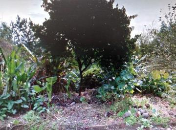 Terreno · Terreno com 300m² - Feitoria