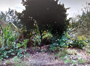 Terreno · Terreno com 300m² - Feitoria