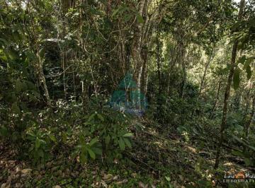Terreno · 622m² · Terreno, Lagoinha - Condomínio Recanto da Lagoinha, Ubatuba - R$ 650 mil, Cod: 1534