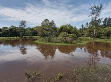 Rural , Sapiranga · Vendo Sitio de 3,2 Hectares em Sapiranga/RS, apenas 2km da Ers 239