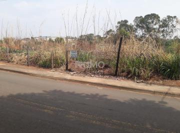 0 · área à venda em Joapiranga