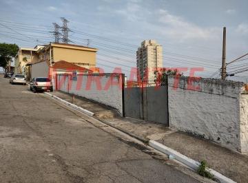 032de99c00482b4e773a6e5b080b4d03.jpg · Terreno de 200m²
