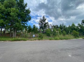 5316_il0ciC6_5316602586b740f91.jpg · Imoveis - em Gramado
