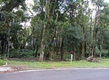 5295_inZ8O_5295601ab72e992a8.jpg · Imoveis - em Gramado
