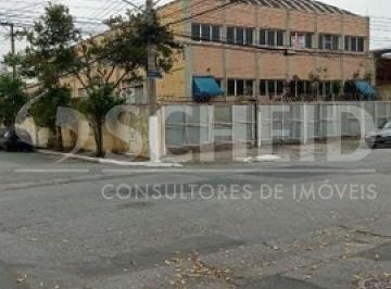 Comercial · 1000m² · Galpão Comercial - Veleiros