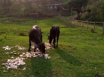 2021/10/f28523438546706578b563d7a2b37503.jpg · RURAL - FAZENDA SÃO PAULO