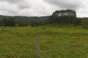 Terreno · 2700m² · Terreno à Venda - Betel, Paulínia - 2.700m2