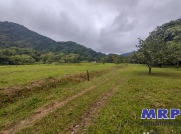 Foto 19 · Sítio à venda em Ubatuba, bairro Marafunda. Região Central. 382 Hectares.