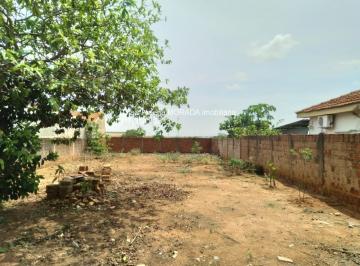 Foto 01 · Terreno, Parque Residencial Flamingo, Catanduva, SP