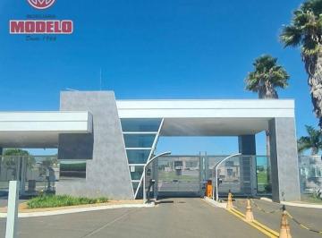fc99b6f3b6b24ebd88b9035e697d3148ea45e5ec · Terreno à venda, 250 m² por R$ 155.000,00 - Vivamus - Saltinho/SP