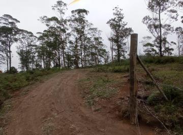 Terreno , Ribeirão Pires · Terreno Venda Ribeirão Pires - SP