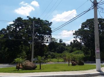 imovel_3536_36889.jpg · Área de 20.000 m²
