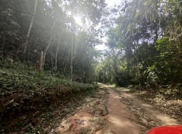 7d7c241455130c39b2faada360cf8d5af95e9826 · Sítio à venda, 20000 m² por R$ 350.000 - Bairro  Freguesia da Escada - Guararema/SP