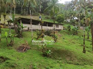 Foto 08 · PARAISO NA MATA - COM TOTAL INTEGRAÇÃO A NATUREZA