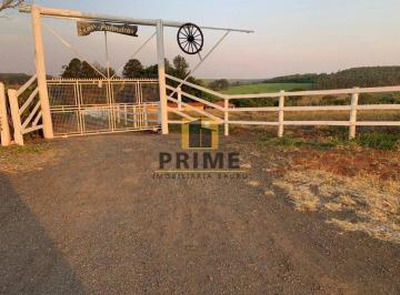 300920-5f747838b0048.jpg · Haras - Palmeiras