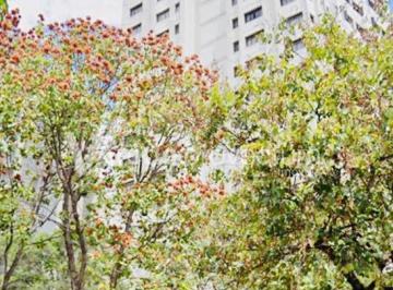 0 · apartamento à venda em Jardim Proença