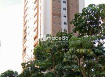 Apartamento · 77m² · 2 Quartos · 2 Vagas · Apartamento com 2 quartos, Panamby, São Paulo - Venda e Locação