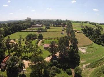 5202281454c9d0eb5fc90c25d08c500b39b26691 · Haras à venda, com 48 baias e 785.774 m², no Centro de Porto Feliz/SP