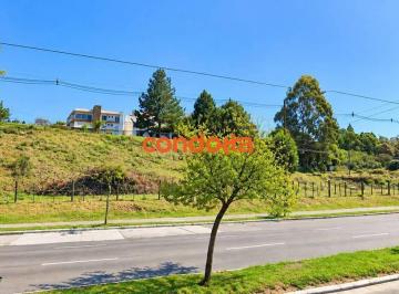 75c6fda9606d35eb535d6a64c6746c434380d32d · Terreno para alugar, 7480 m² por R$ 16.600,00/mês - Ipanema - Porto Alegre/RS