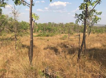 Rural , Arraias · Oportunidade fazenda no Paranã Tocantins 1.488 hectares 