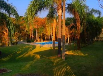 32996ce386bca53054a4fd3fbbfb87e8e99e8ea0 · Chácara com 4 dormitórios à venda, 3000 m² por R$ 490.000,00 - Jardim Vera Lúcia - Salto de Pirapora