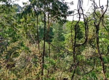 Foto 01 · Sitio, Vila Moraes, Jundiaí, SP