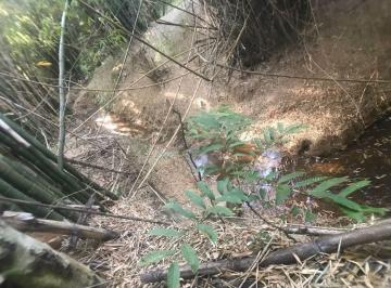 i8N0Z13MG5ku87_15456123d3279ac39_o.jpg · Fazenda / Sítios / Chácaras com 4 quartos à venda em Ribeirão Vermelho, no bairro Centro
