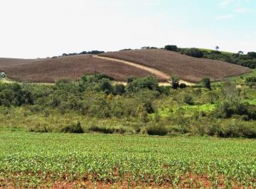 f2aebc46db351b644069ffde965e8e1d.jpeg · Fazenda / Sítios / Chácaras com 2 quartos à venda em Carmo De Minas, no bairro Zona Rural