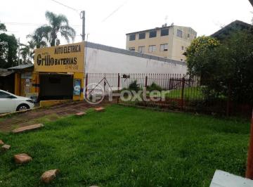 20210127_134923.jpg · Terreno, 900 m², em Cristo Redentor