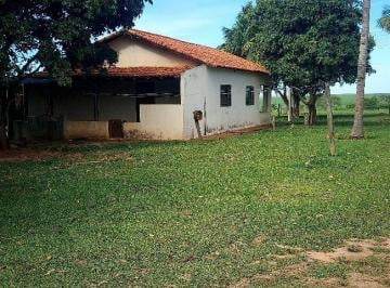 Foto 01 · Fazenda Pecuária 131 Alqueires   Aproveitamento 110 Alqueires para Cana  Estimativa de 48 Toneladas 
