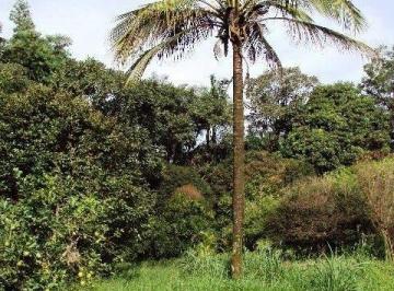 Rural · 1 Quarto · Bairro do Poste - Potencial para investidor - Terreno com 16.000 m²