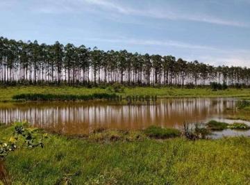 dc9930bd3f662ed77d8cdac3df443cc8708959ae · Fazenda à venda, 4702302 m² por R$ 32.500.000,00 - Rural - Tatuí/SP