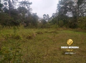 Rural · 60000m² · 2 Quartos · 10 Vagas · Sítio com 72.600 m² à venda em Terra Preta