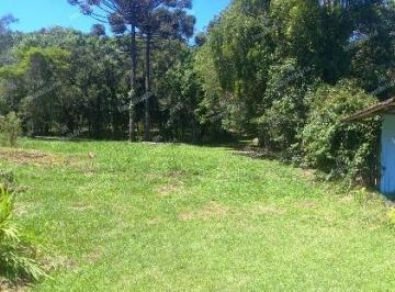 2021/11/4eefef1a18444c5099059be2f6233f6f.jpg · Chácara à Venda sem benfeitorias em São José dos Pinhais