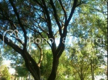 Terreno no Loteamento Caminhos De San Conrado, à venda, Loteamento Caminhos de San Conrado - Campinas/SP · Terreno disponível para venda no Loteamento Caminhos De San Conrado, situado em