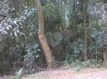 Área de Serviço · Terreno à venda em Roseira - SP