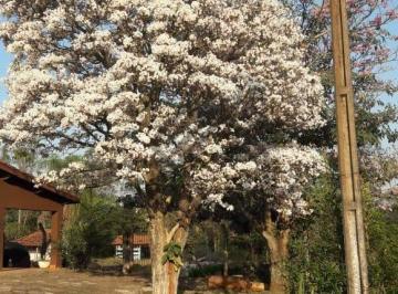 507cd7a80da34bf685a31aebba98fc110cddad73 · Sítio à venda com 54.000 m² no bairro Jundiaquara, Araçoiaba da Serra/SP