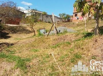 Foto 01 · Terreno - Arrozal