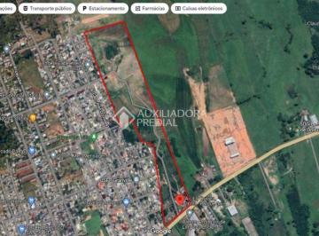 b61baa31-909a-4edc-b5f2-4665f80f5b9f · Fazenda Alencastro.terreno plan