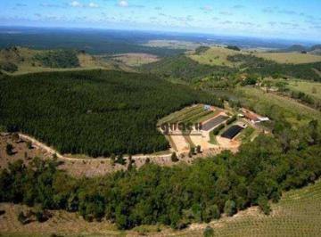 6868dca26e94b18989ae0a05f51c73a98b477c09 · Fazenda à venda, 2667082 m² por R$ 27.000.000,00 - Zona Rural - Botucatu/SP