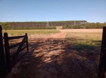 109396ace5a792727a30efe64ad798170832ff63 · Sítio à venda, 676874 m² por R$ 7.000.000,00 - Área Rural de Avaré - Avaré/SP