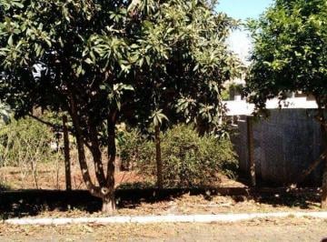 239965_ic3s55C_23996559cd3d336cbbc.jpg · Terreno no bairro Centro