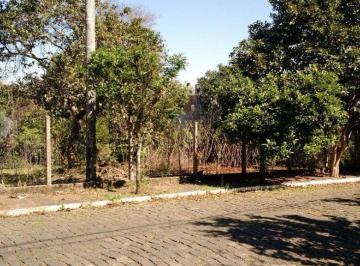 238809_iB8S65QoMZFZt12m2_23880959bac8d070132.jpg · Terreno no bairro Centro