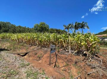 Foto 01 · Terreno, Piedade, Bom Princípio, RS